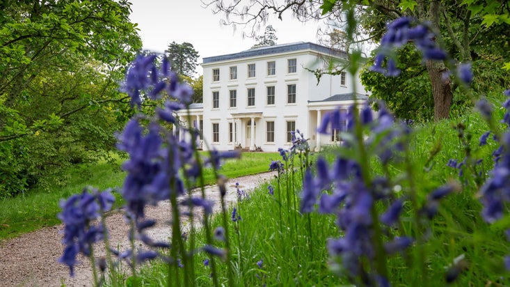 Gravel path leading to a white house, with bluebell flowers in the foreground.